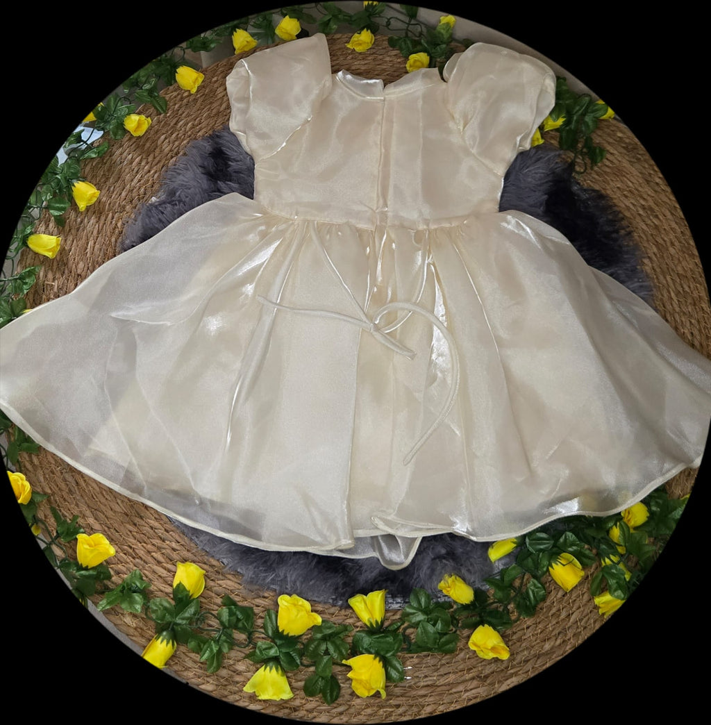 Cloud nine organza party dress